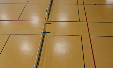 Pickleball COATING REMOVAL Pickleball COATING REMOVAL